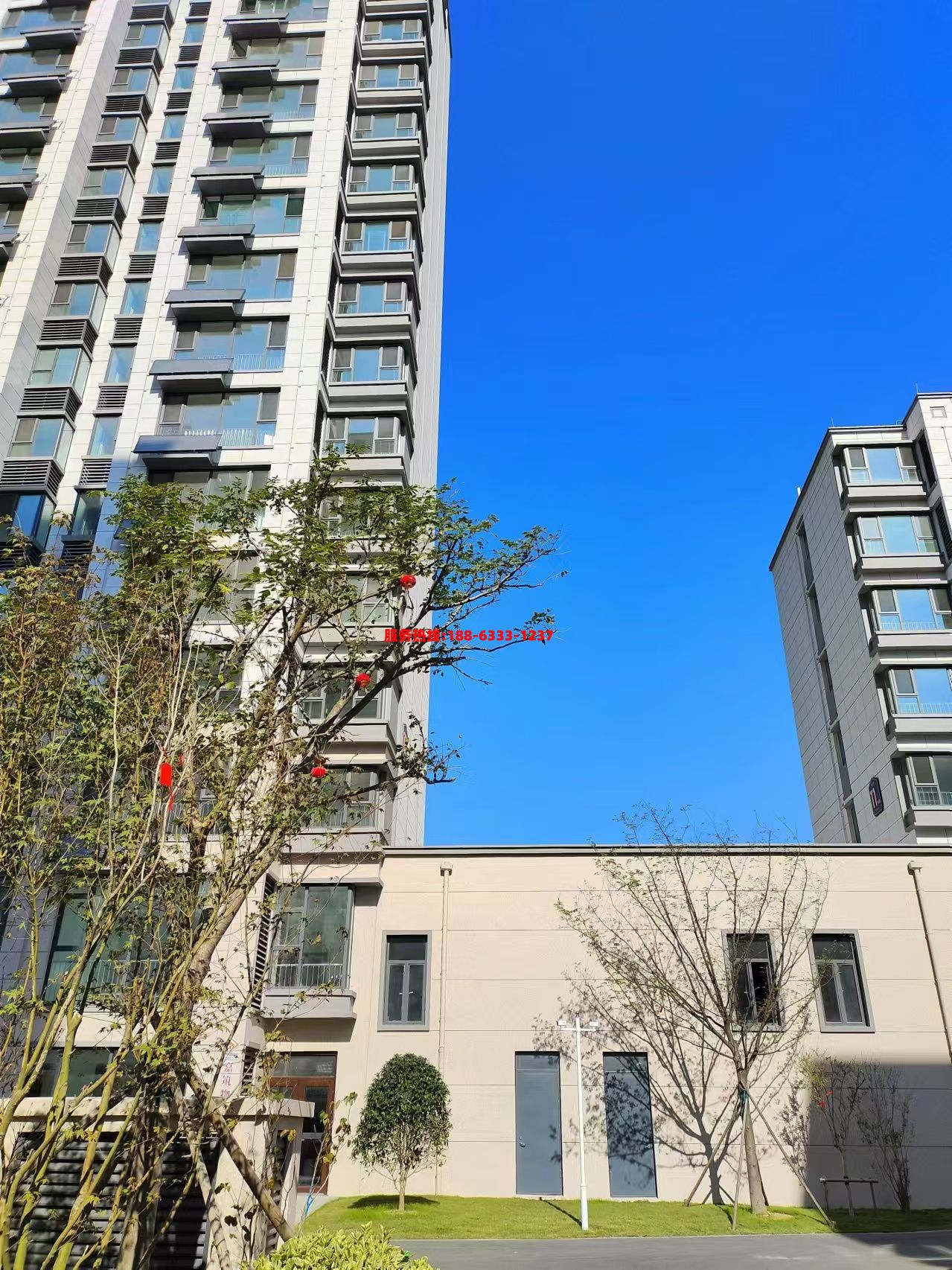 1730853286489087.jpg 微信图片_20241106082817.jpg