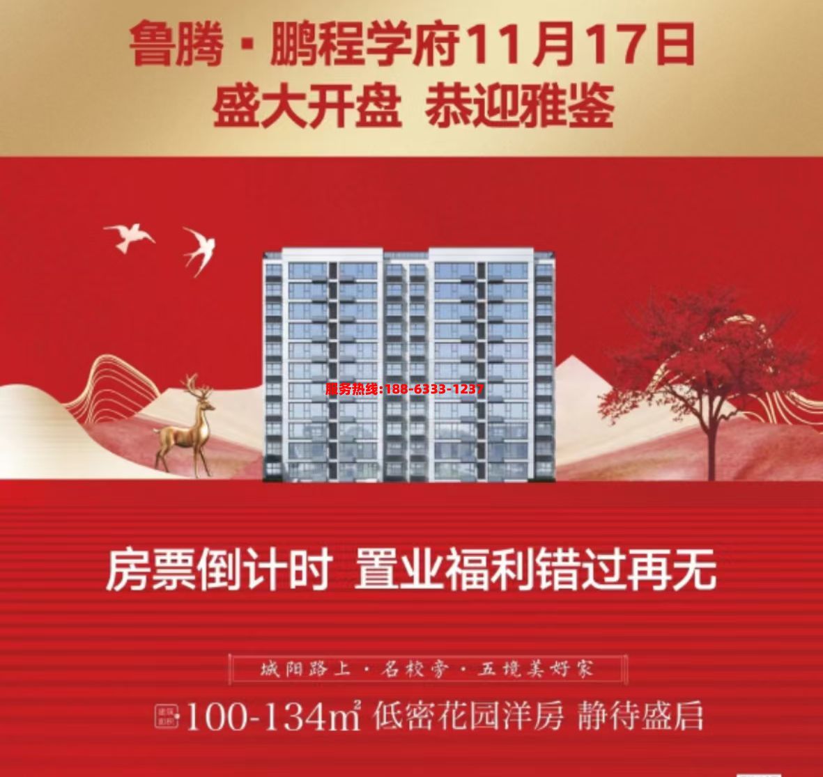 1731718517465074.jpg 微信图片_202411091738232.jpg